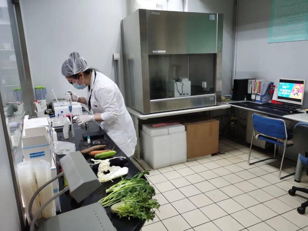 波莲镇食品检测实验室装修方案